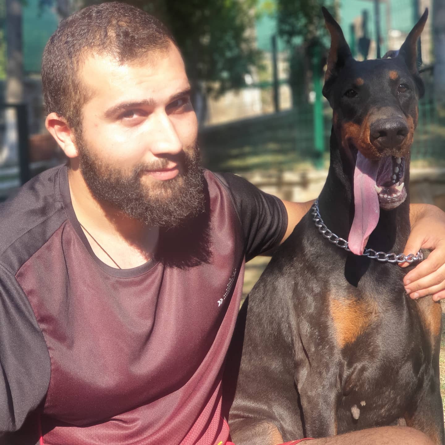 köpek eğitim uzmanı murat güngör